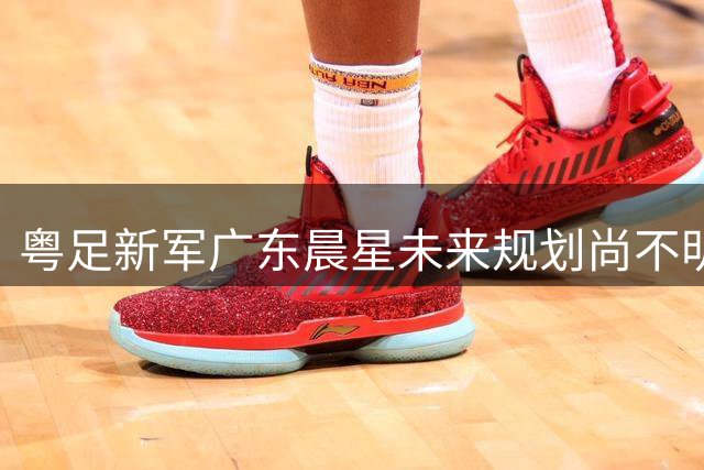 粤足新军广东晨星未来规划尚不明朗