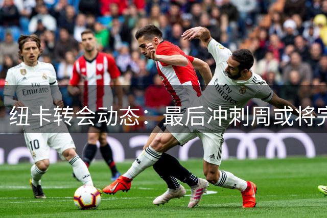 纽卡转会动态：最后冲刺周或将完成多笔交易